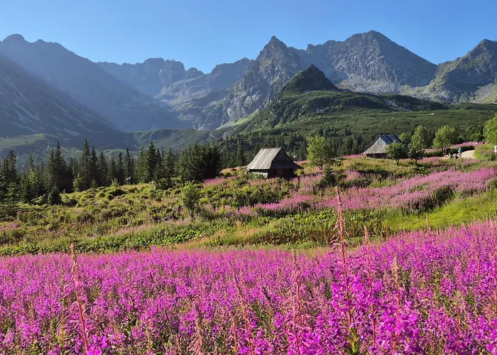 Ośrodek Wypoczynkowy Tatrzańska Zakopane